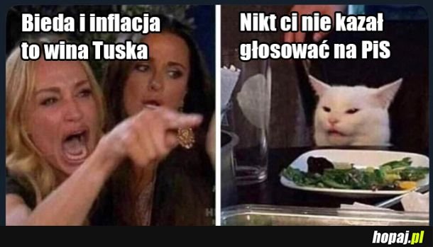Nikt nie kazał - ale zagłosowali