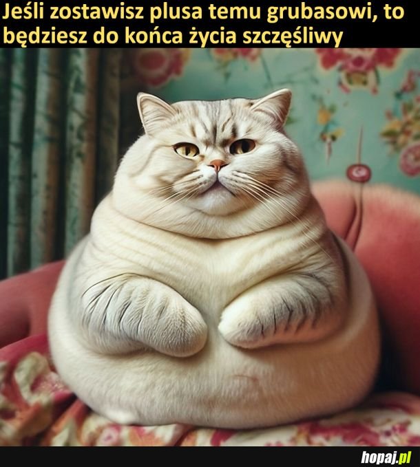 Kot szczęścia