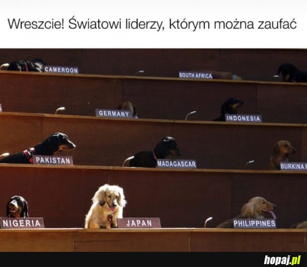 Doczekaliśmy się