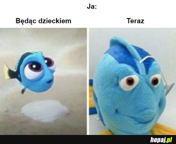 Zmiany