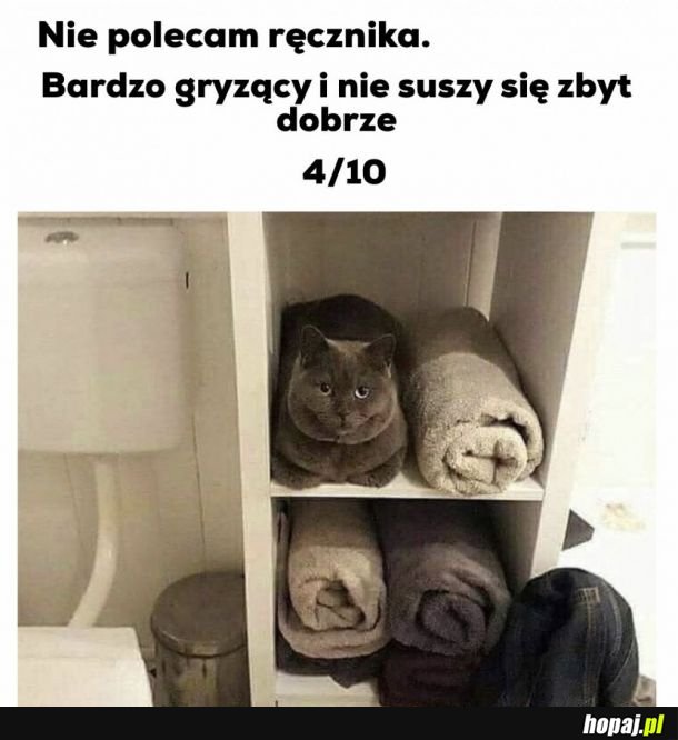 Ale jaki puszysty