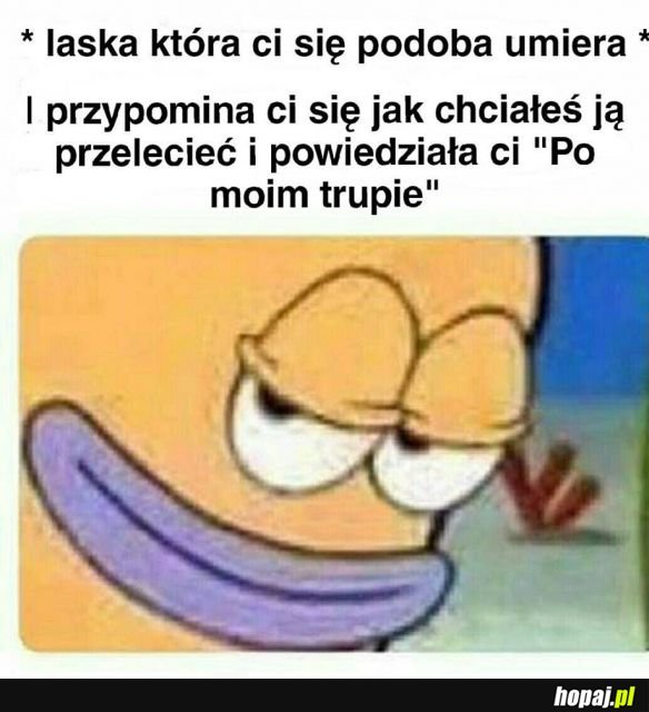 Witam wjeżdżam