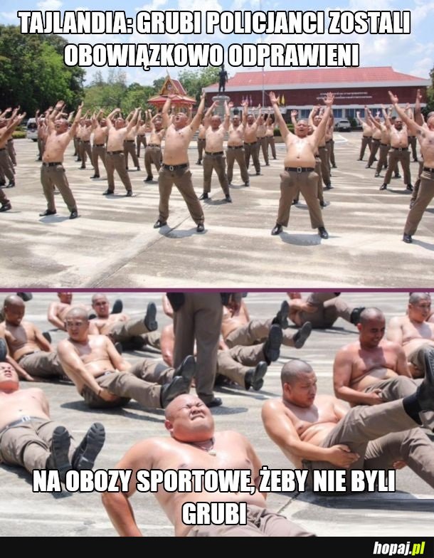 Chudy zlapie cie łatwiej