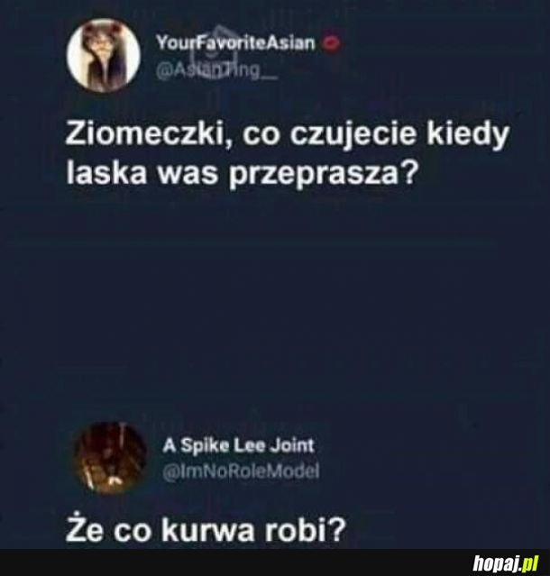 Dziewczyna przeprasza