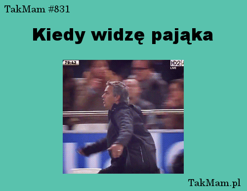 Kiedy widzę pająka