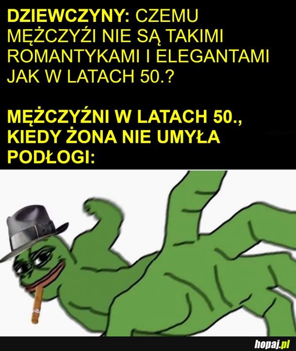 Ano szkoda