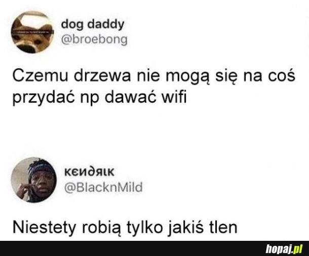 Drzewa więcej nie mogą