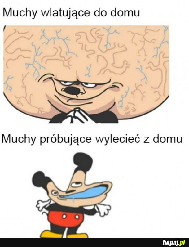 Muchy