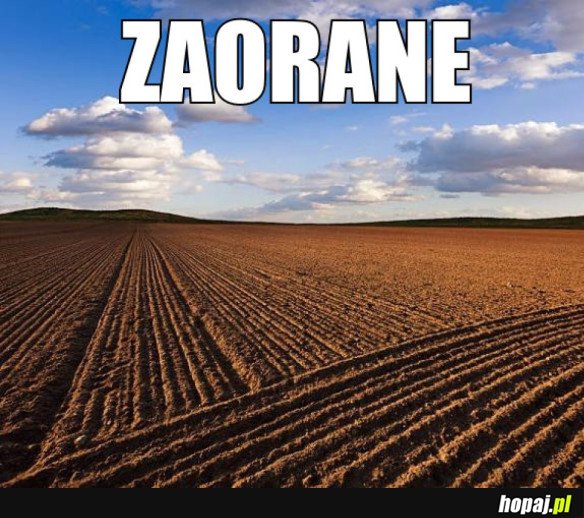 ZAORANE