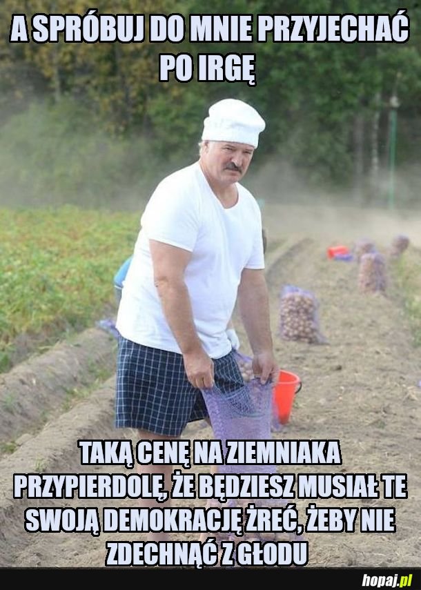 Główna gałąź gospodarki