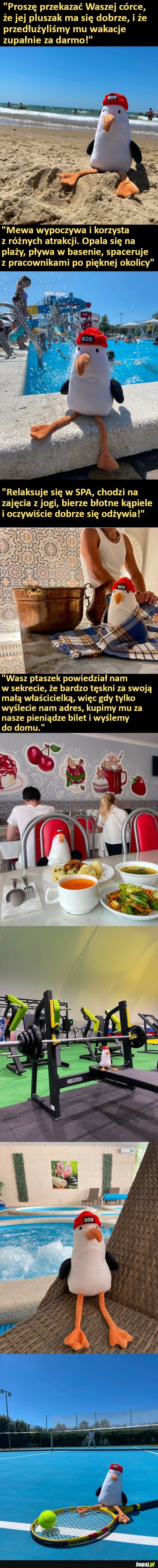 Dziewczynka zapomniała swojego ulubionego pluszaka w hotelu, więc pracownicy napisali taką wiadomość do jej rodziców
