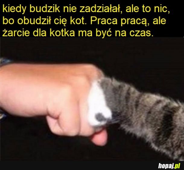 W sumie dobrze się składa