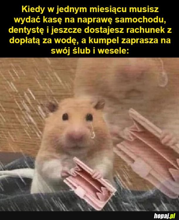 Nie przyjdę