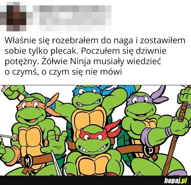 Żółwie ninja