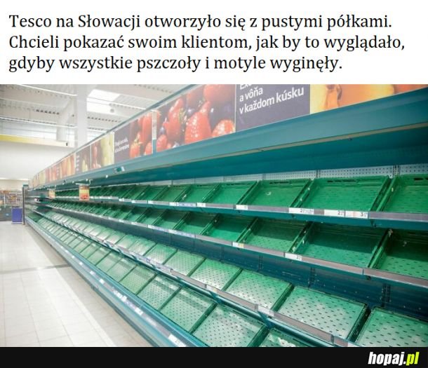 Dla wzrokowców