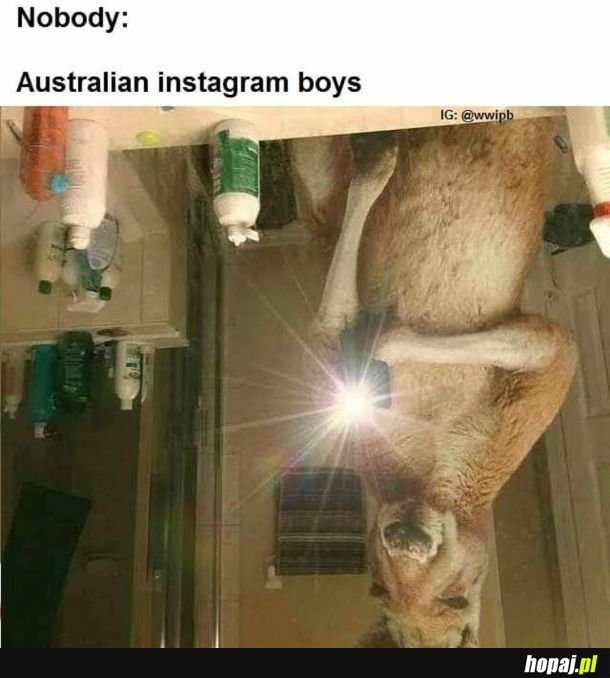  Australijski Instagram