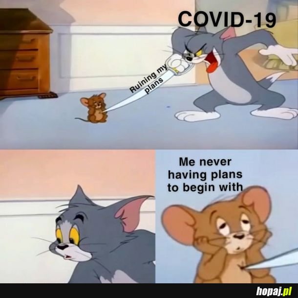 Plany w 2020