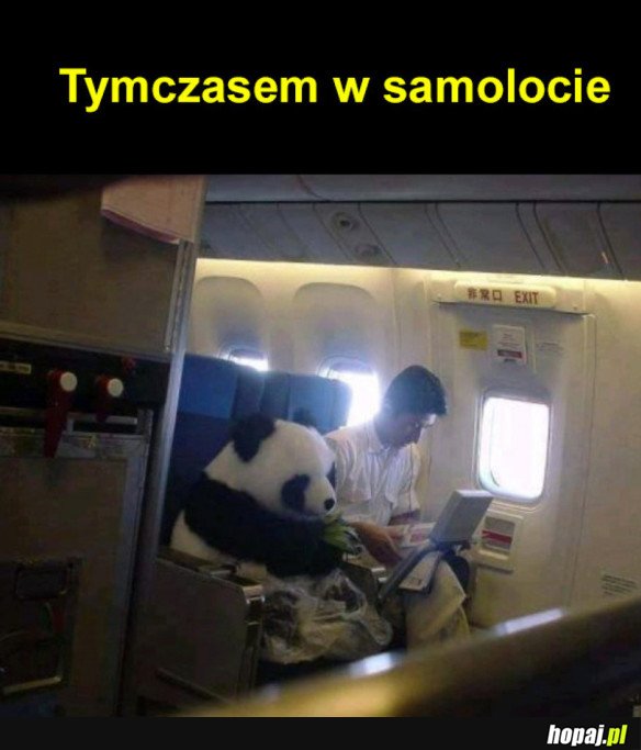 TYMCZASEM W SAMOLOCIE