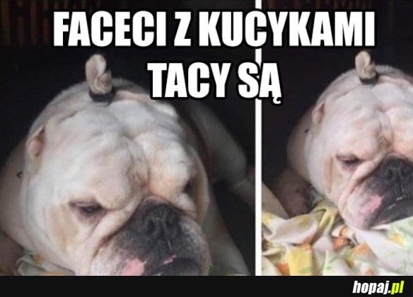 FACECI Z KUCYKAMI