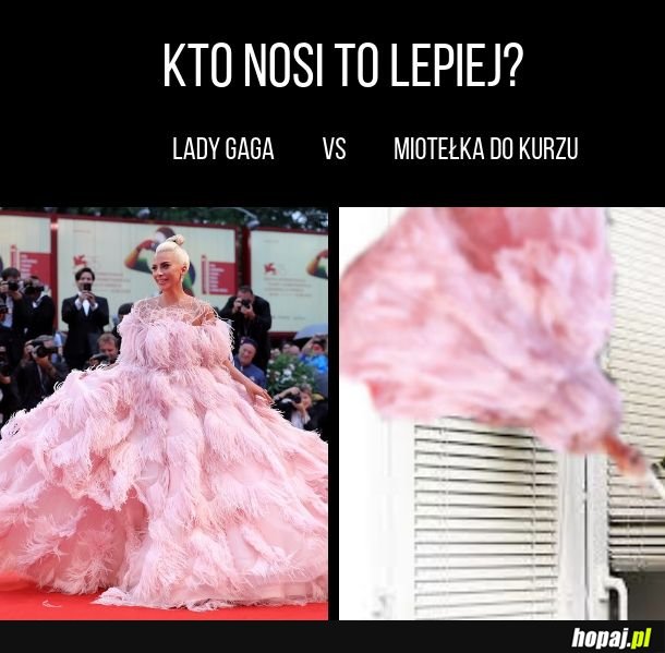 Lady Gaga vs Miotełka Do Kurzu