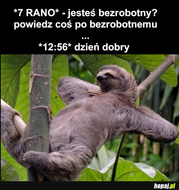 Język bezrobocia