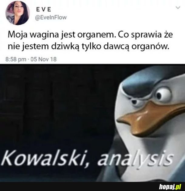 Kowalski co ty na to