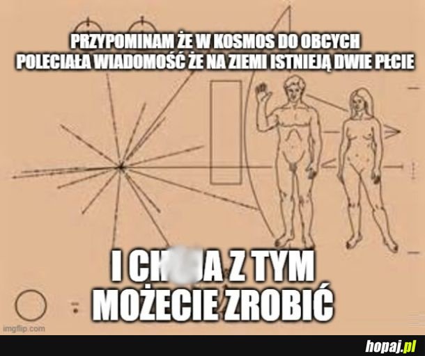 Wiadomość dla kosmitów jest jaka jest