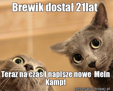 Brewik dostał 21lat 