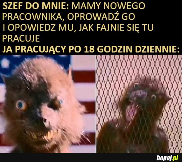 Fajnie tu, ta nie za ciężko