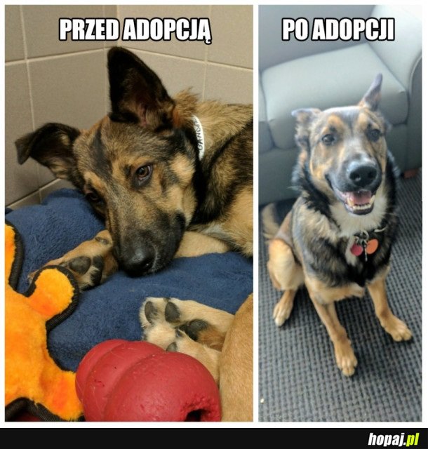 MINA MÓWI WSZYSTKO