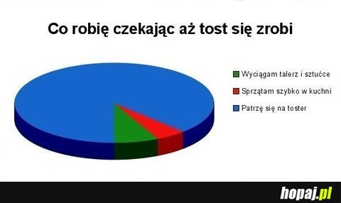 Co robisz czekając aż tost się zrobi?