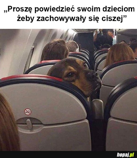 ILEŻ TO RAZY CZŁOWIEK W ŻYCIU SŁYSZAŁ