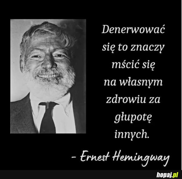 Mądry cytat na dzis