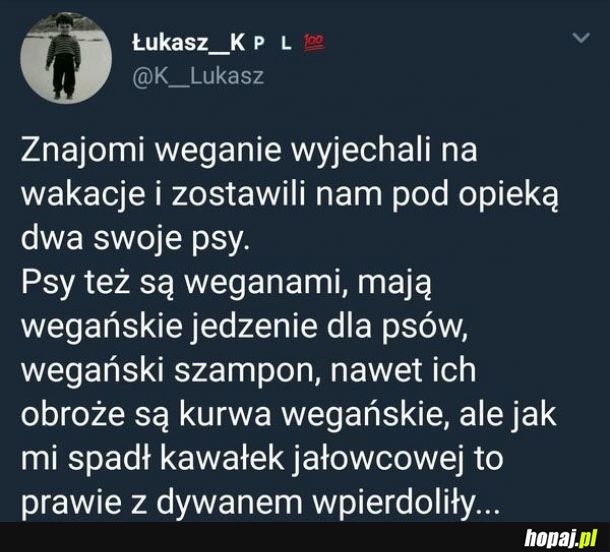 Weganie go nienawidzą