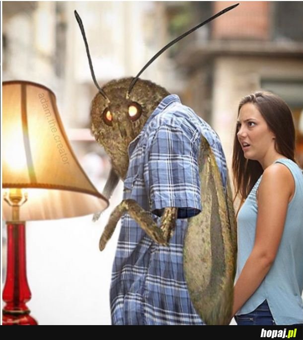 No wiadomo, że lampa