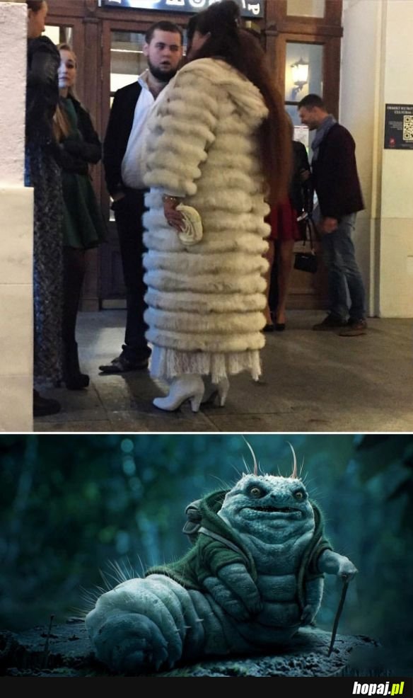 Podobieństwo