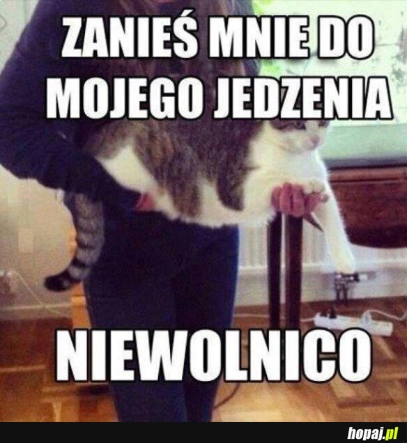 Niewolnico...