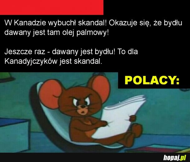 Olej palmowy dla bydła