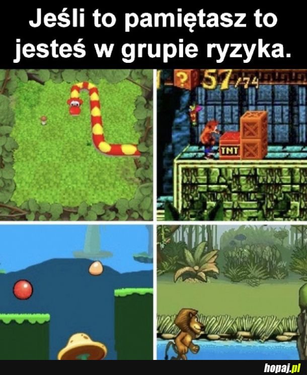 Grupa ryzyka