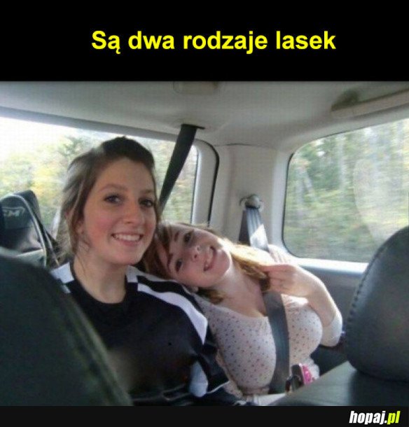 SĄ DWA RODZAJE LASEK