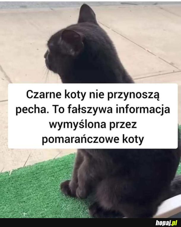 Zgadza się