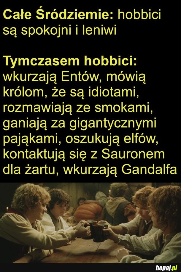 Hobbici już tacy są