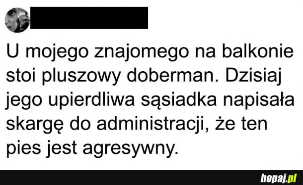  Sąsiadów się nie wybiera