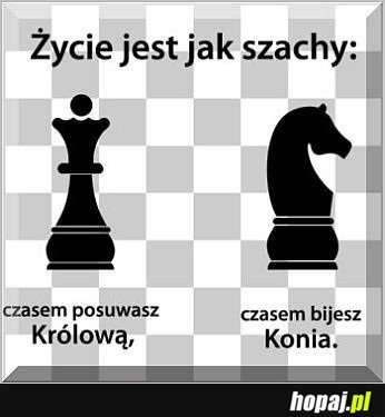 Życie jest jak szachy