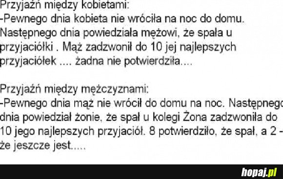 Przyjaźń między kobietami, a gacetami