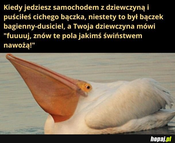 Tak.