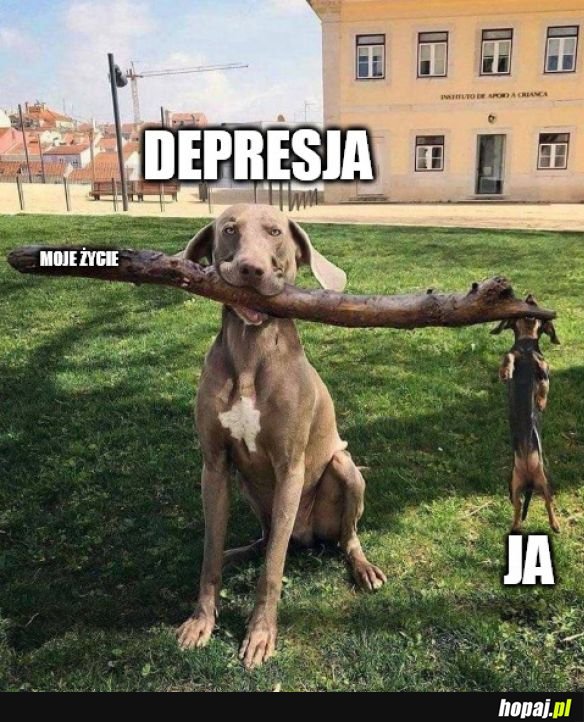 Depresja