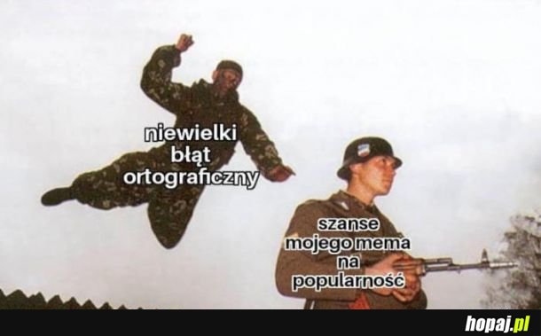 Memy na głównej 