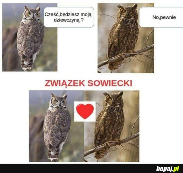 TAKI ZWIĄZEK