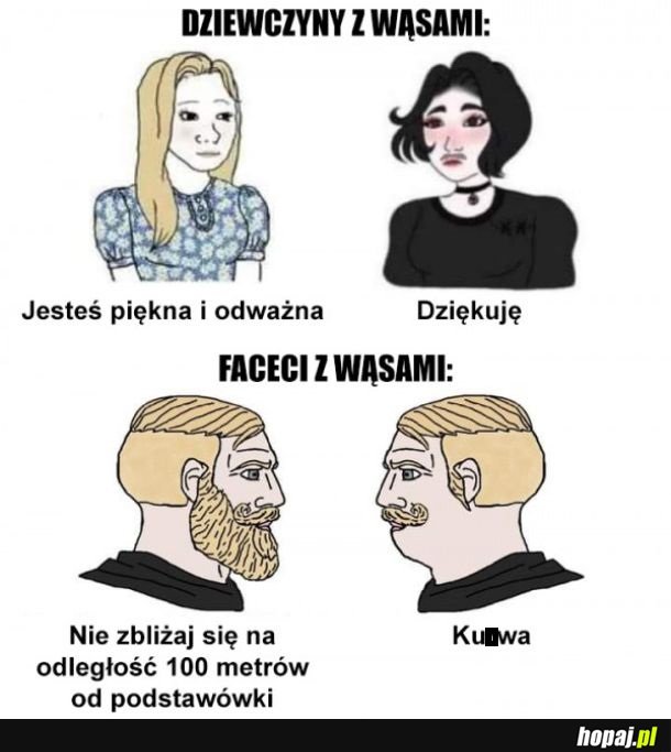 Wąs